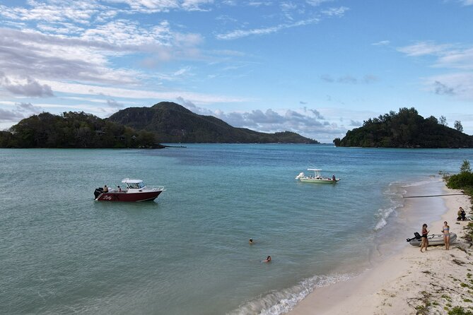 Reef Safari - Snorkeling, Fish Feeding & Lunch (Private Day Trip) - What lunch adds to the six-hour outing