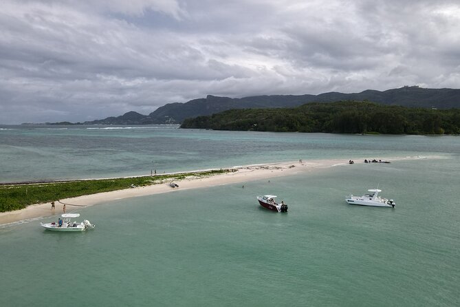 Reef Safari - Snorkeling, Fish Feeding & Lunch (Private Day Trip) - Swimming near Round Island before returning to Mahé