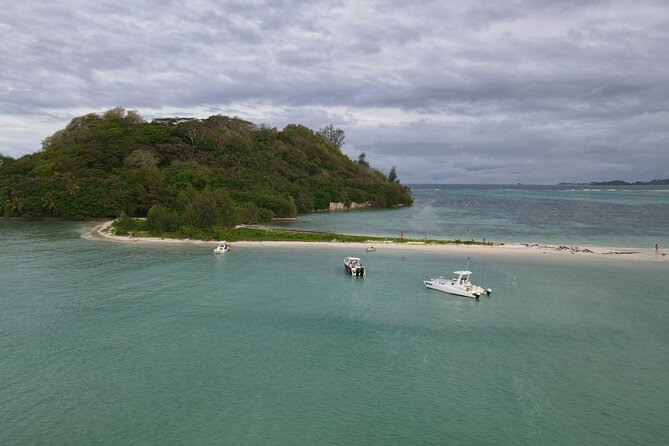 Reef Safari - Snorkeling, Fish Feeding & Lunch (Private Day Trip) - Who should book this private reef safari?