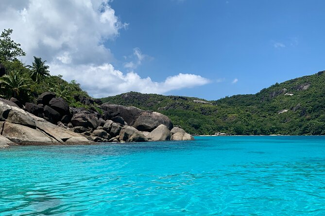 Reef Safari - Snorkeling, Fish Feeding & Lunch (Shared Day Trip) - The best parts of the day at a glance