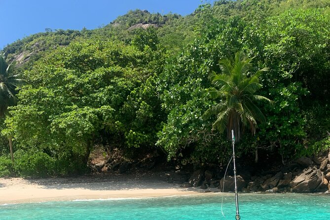 Reef Safari - Snorkeling, Fish Feeding & Lunch (Shared Day Trip) - What the $153.66 price really buys you