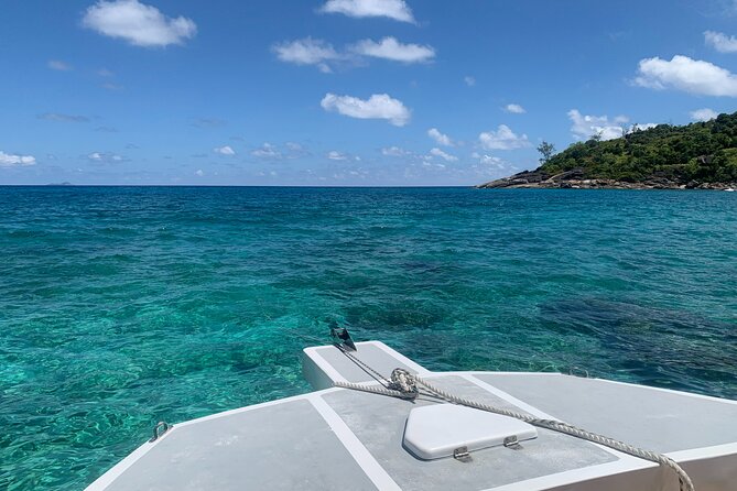 Reef Safari - Snorkeling, Fish Feeding & Lunch (Shared Day Trip) - Practical advice before you go