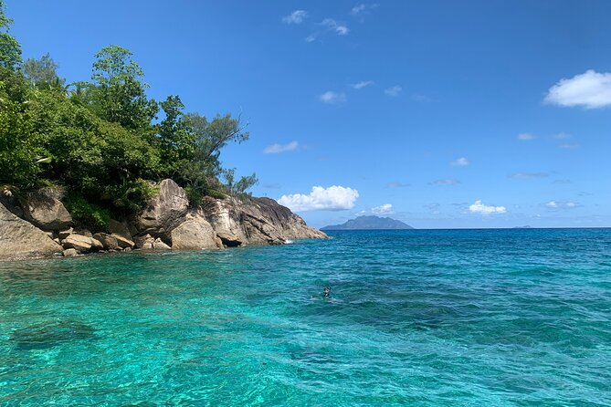 Reef Safari - Snorkeling, Fish Feeding & Lunch (Shared Day Trip) - Snorkeling, fish feeding, or staying dry