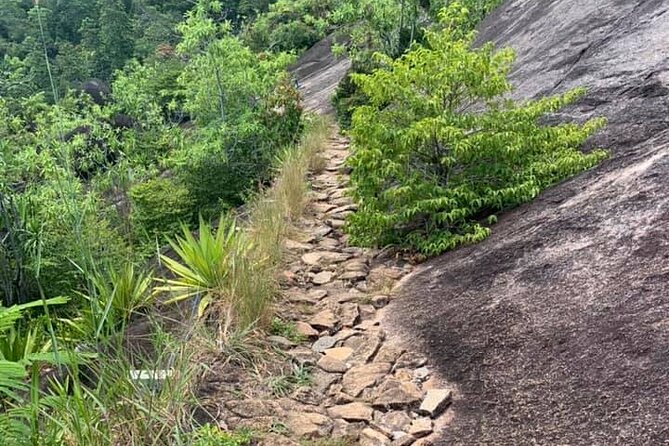 Relaxed hike to Anse Major | Mahe, Seychelles, Great Private Tour - Photo stops across northwest Mahé