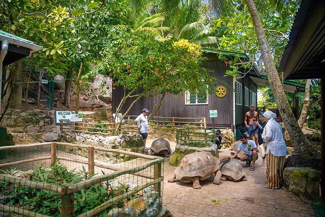 Sainte Anne Marine Park and Moyenne Island - Who will enjoy this seven-hour outing?