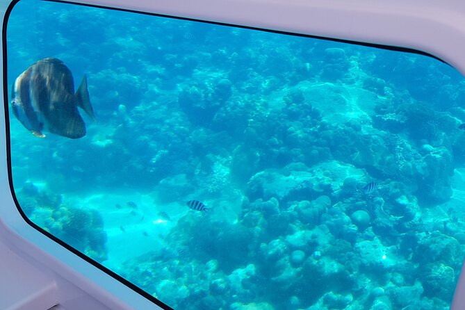 Semi Submarine Tour in Saint Anne Marine National Park - What the semi-submarine actually feels like
