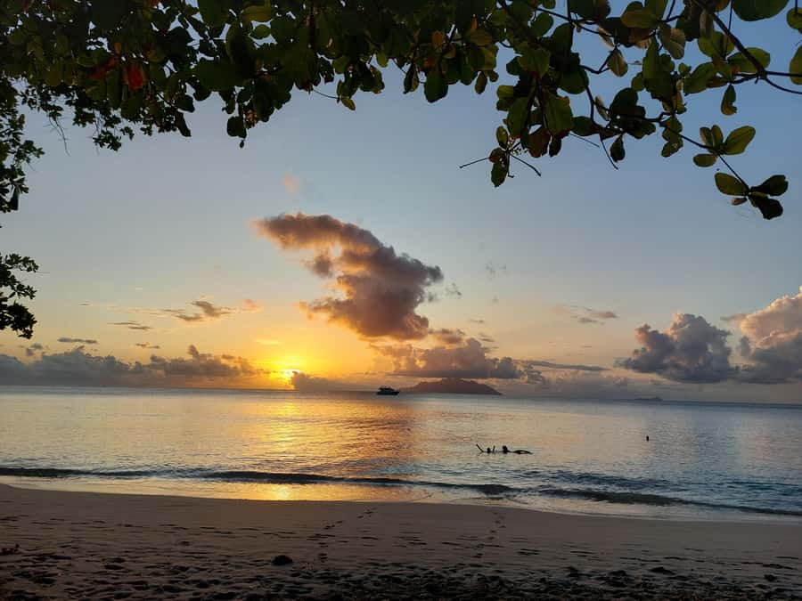 Seychelles: Best of Mahe Private Tour - A full day built around your interests