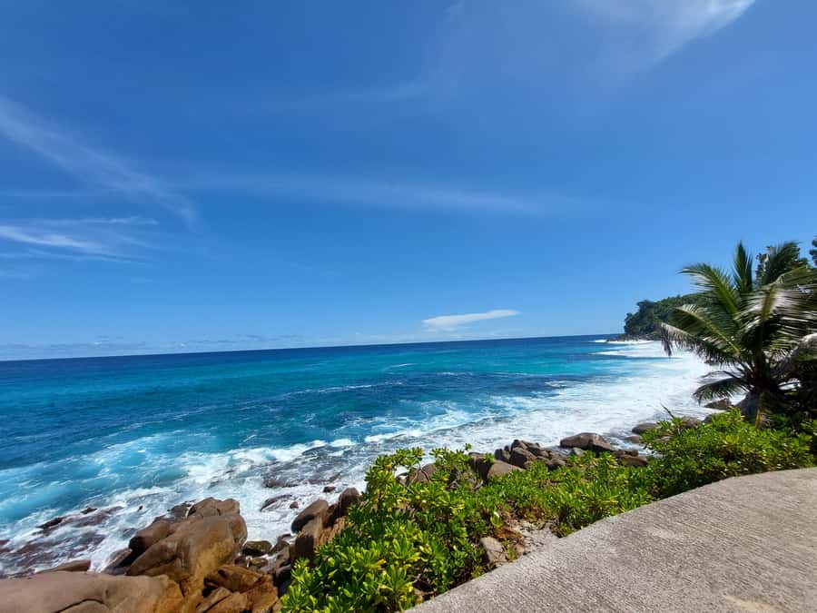 Seychelles: Best of Mahe Private Tour - Who will get the most from this Mahé tour?