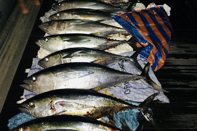 Seychelles Fishing - Who will get the most from this charter