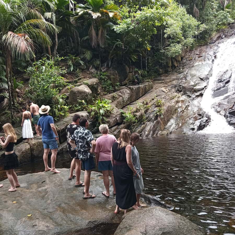 Seychelles: Full Day Private Tour in Mahe (1 to 5 Person) - The Tea Factory adds a local flavor