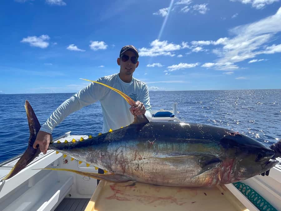 Seychelles: Guided Fishing Trip with Pickup and Equipment - Key points before you book