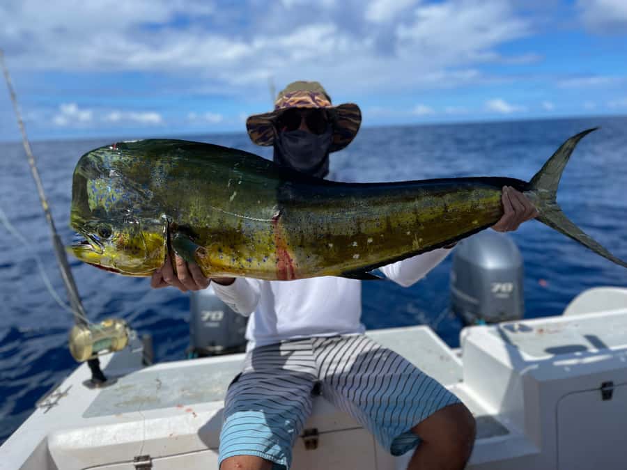 Seychelles: Guided Fishing Trip with Pickup and Equipment - The fishing grounds and what you might catch