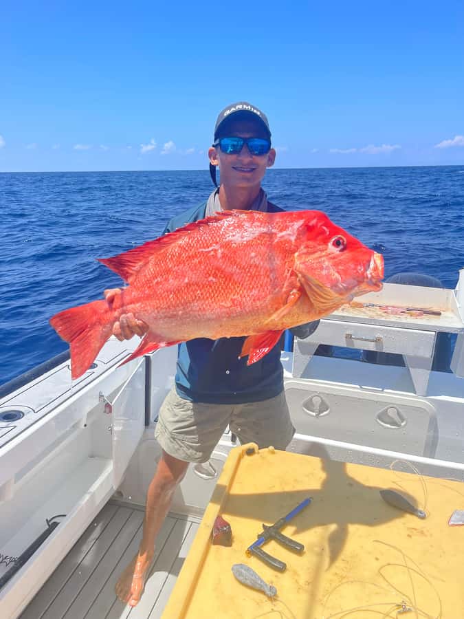Seychelles: Guided Fishing Trip with Pickup and Equipment - Is $766 good value for a private boat?