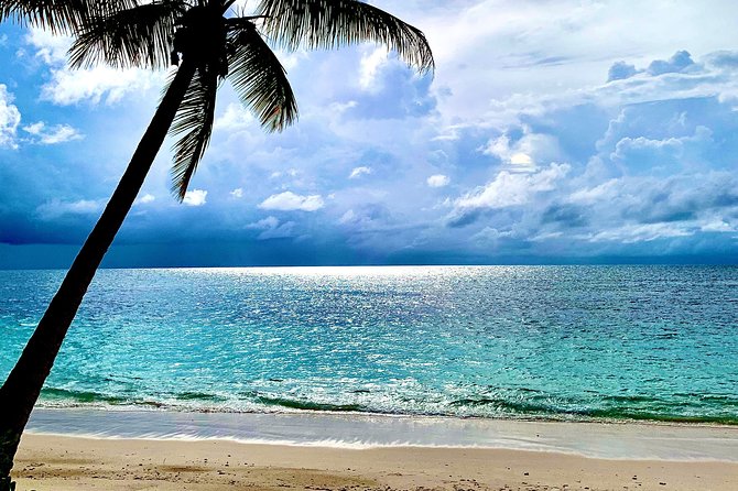 Seychelles Island Tour (PRIVATE 4 hours or 8 Hours) - Mission Lodge Lookout: mountain views in half an hour