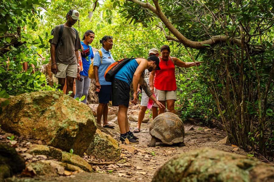 Seychelles: St Pierre and Curieuse Catamaran Tour with Lunch - BBQ lunch aboard the Oplezir catamaran