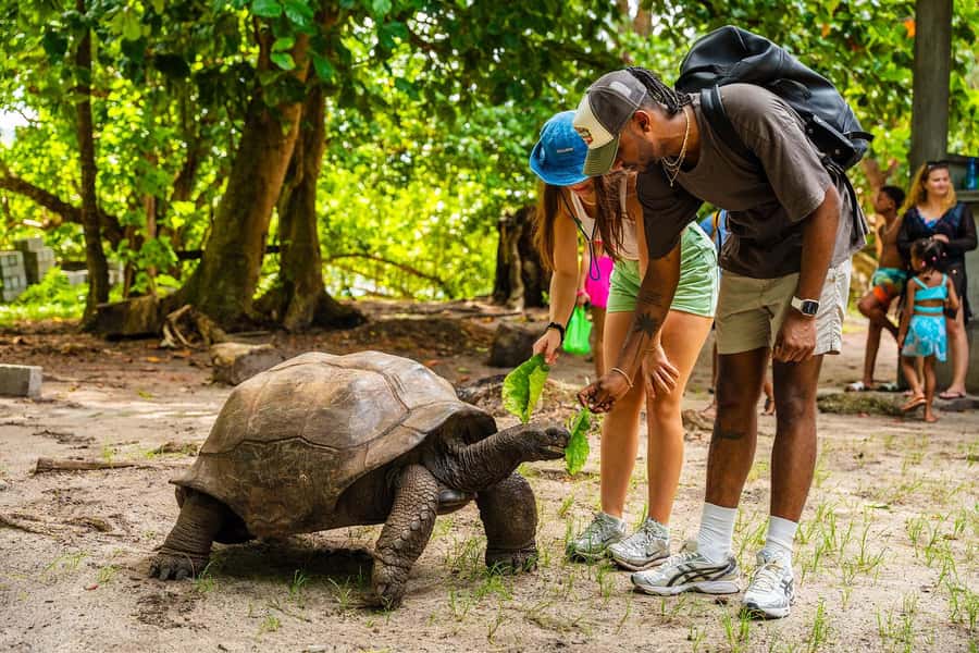 Seychelles: St Pierre and Curieuse Catamaran Tour with Lunch - The return cruise along Praslin’s northeast coast