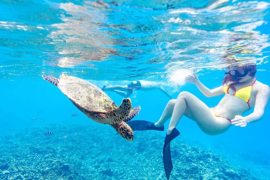 Sister, Coco, and Felicite Island: Seychelles Catamaran Tour - Snorkeling, swimming, and comfort on the Oplezir