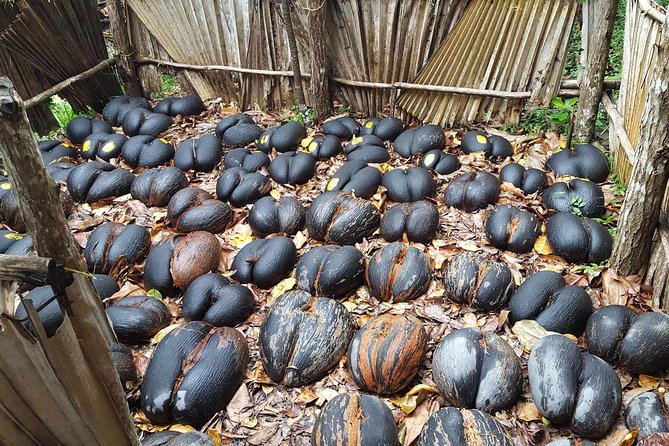 Skip the Line: Fond Ferdinand Trail Tour Ticket - Why Fond Ferdinand earns a place on your Praslin plans