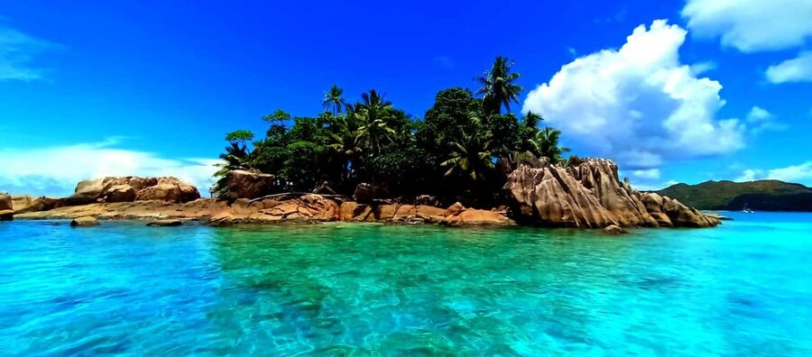 Snorkeling St-Pierre Marine Park and Anse Petite Cour - Why St-Pierre Marine Park is the star of the trip