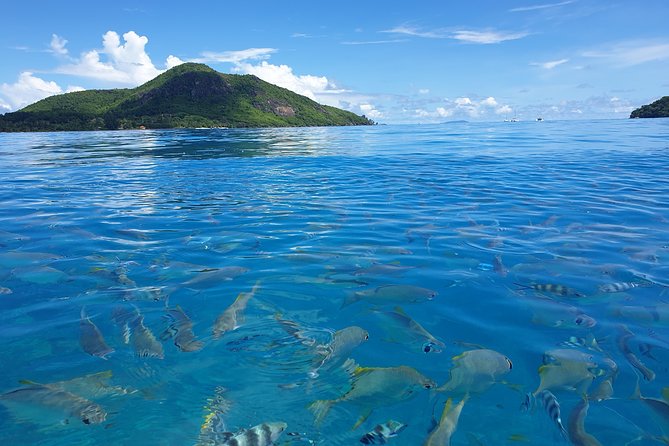 St Anne Marine Park & Moyenne Island, Creole Lunch (Private Boat) - Timing, duration, and the return to Victoria
