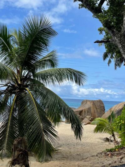 Tropical Beach Adventure Tour