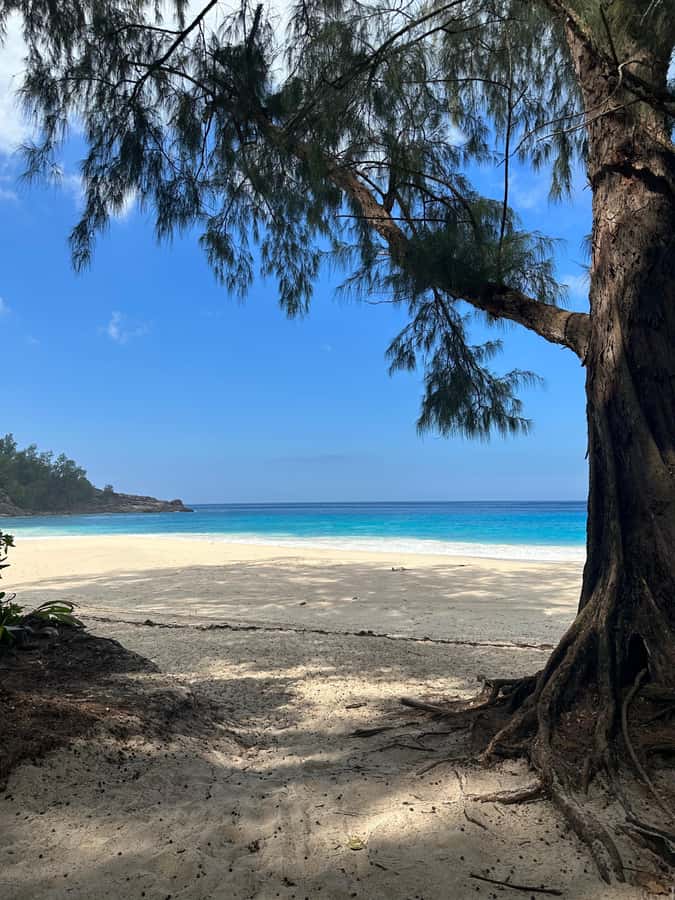Tropical Beach Adventure Tour - The guide can change the character of the day