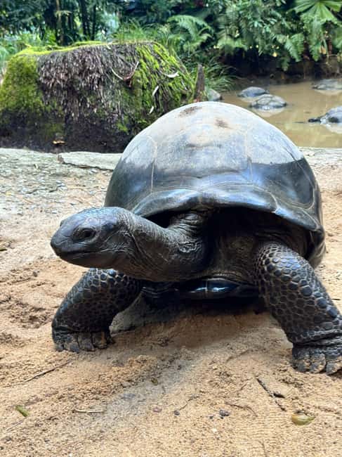 Unforgettable Full Day Mahe Island Tour - Beau Vallon and Mahé’s beaches