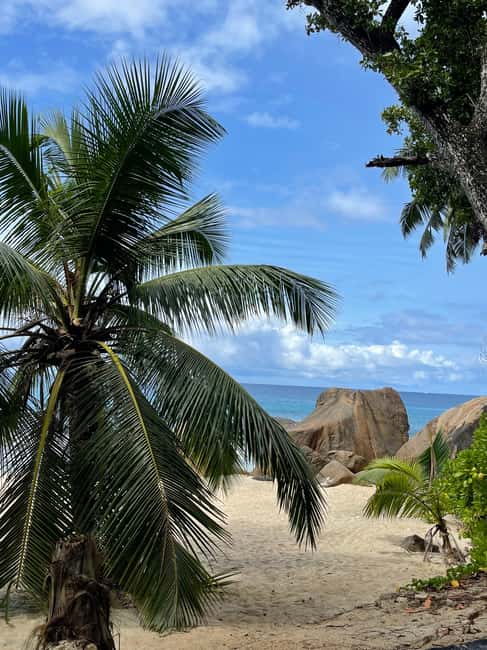 Unforgettable Full Day Mahe Island Tour - Tea factory and Mission Lodge