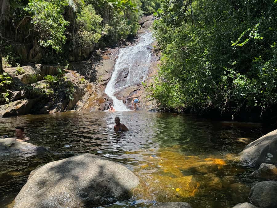 Victoria: Seychelles Mahe Island Tour - What the driver-guide adds to the day