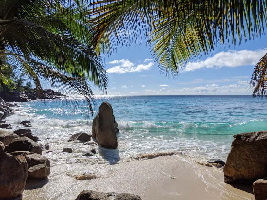Victoria: Seychelles Mahe Island Tour - Who should book this Mahé tour?