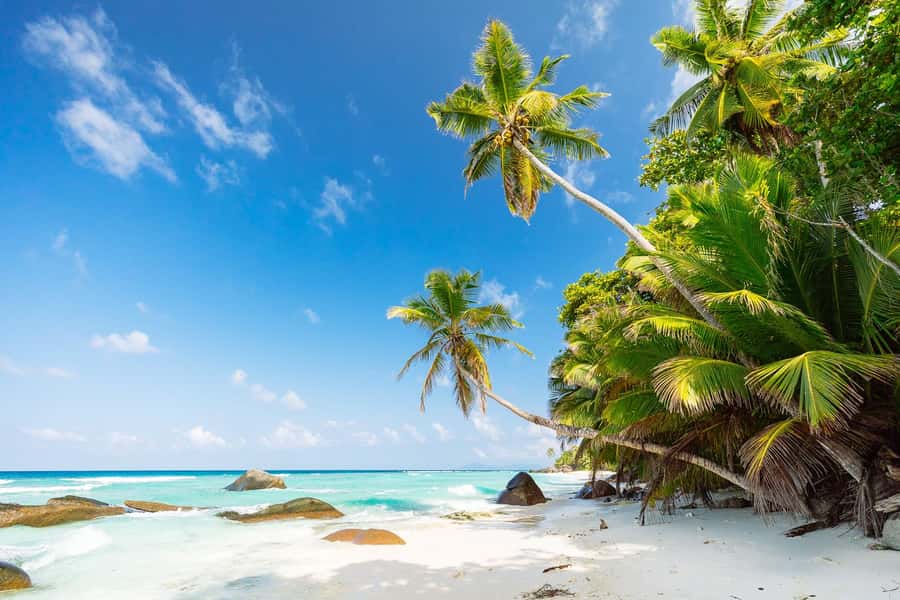 Granite boulders and palms above a shallow turquoise bay in the Seychelles